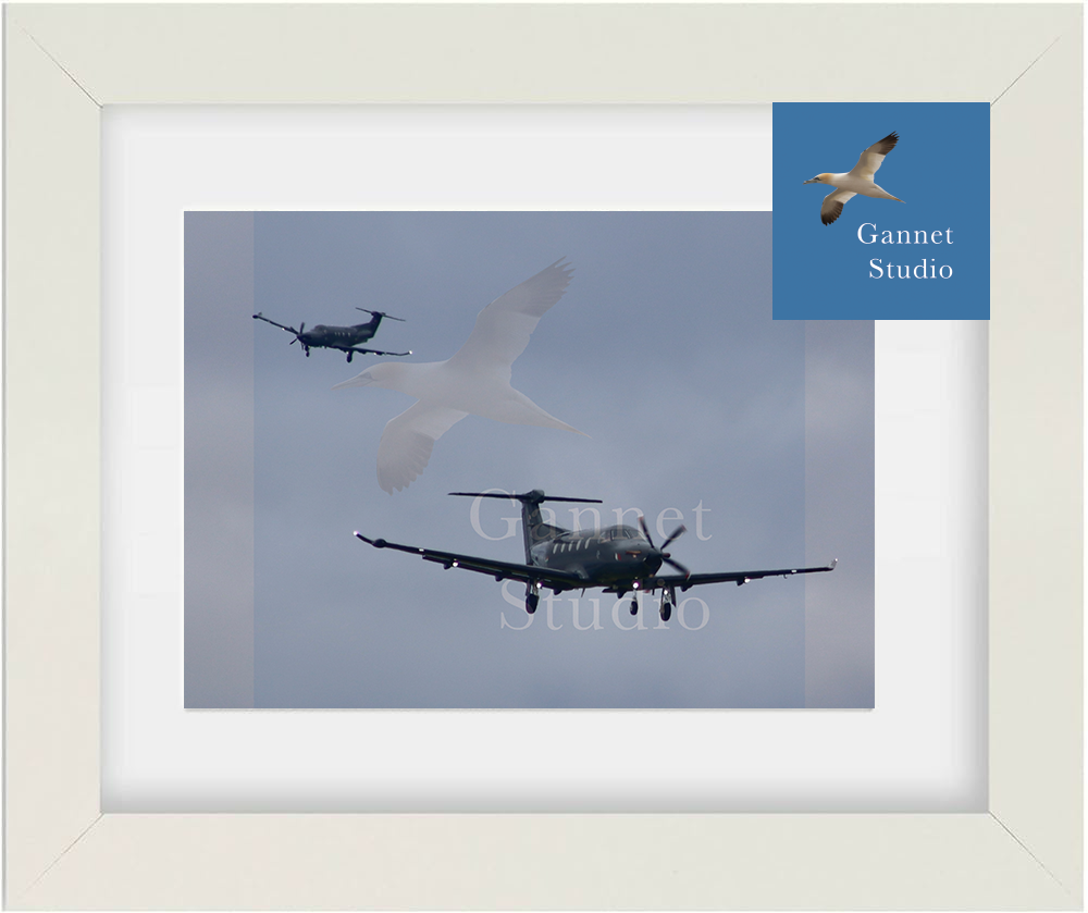 PC12 Landing Formation