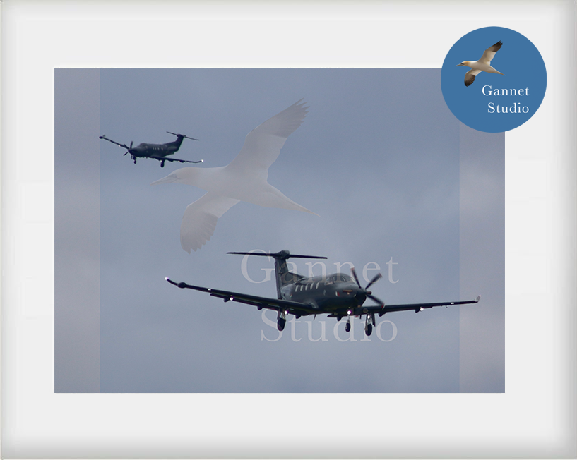 PC12 Landing Formation