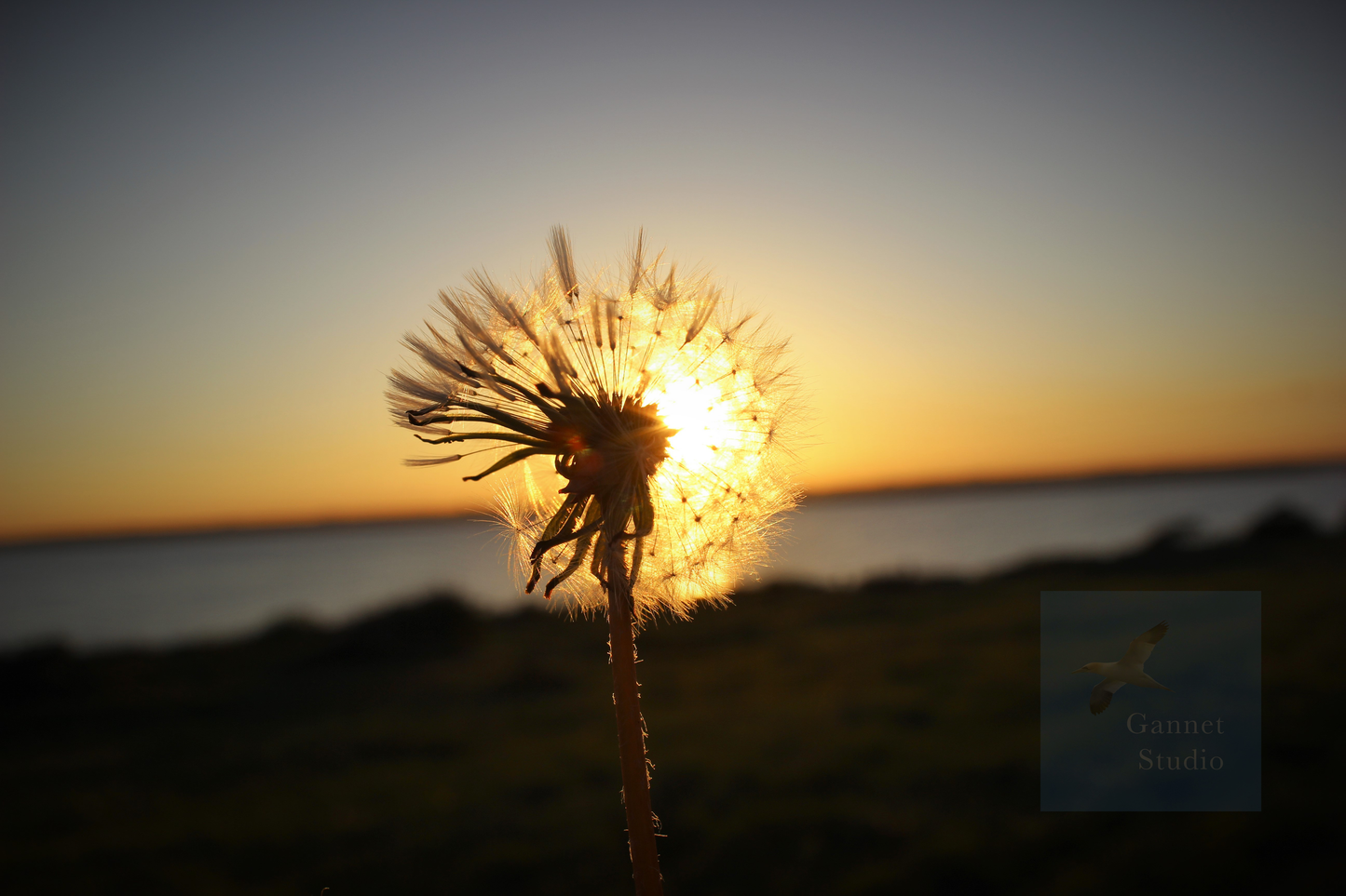 Make a wish (Howth)