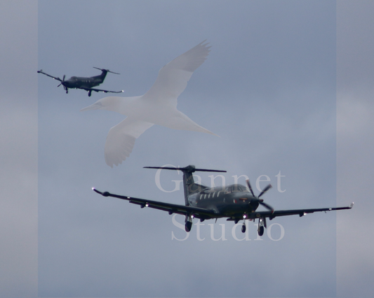 PC12 Landing Formation