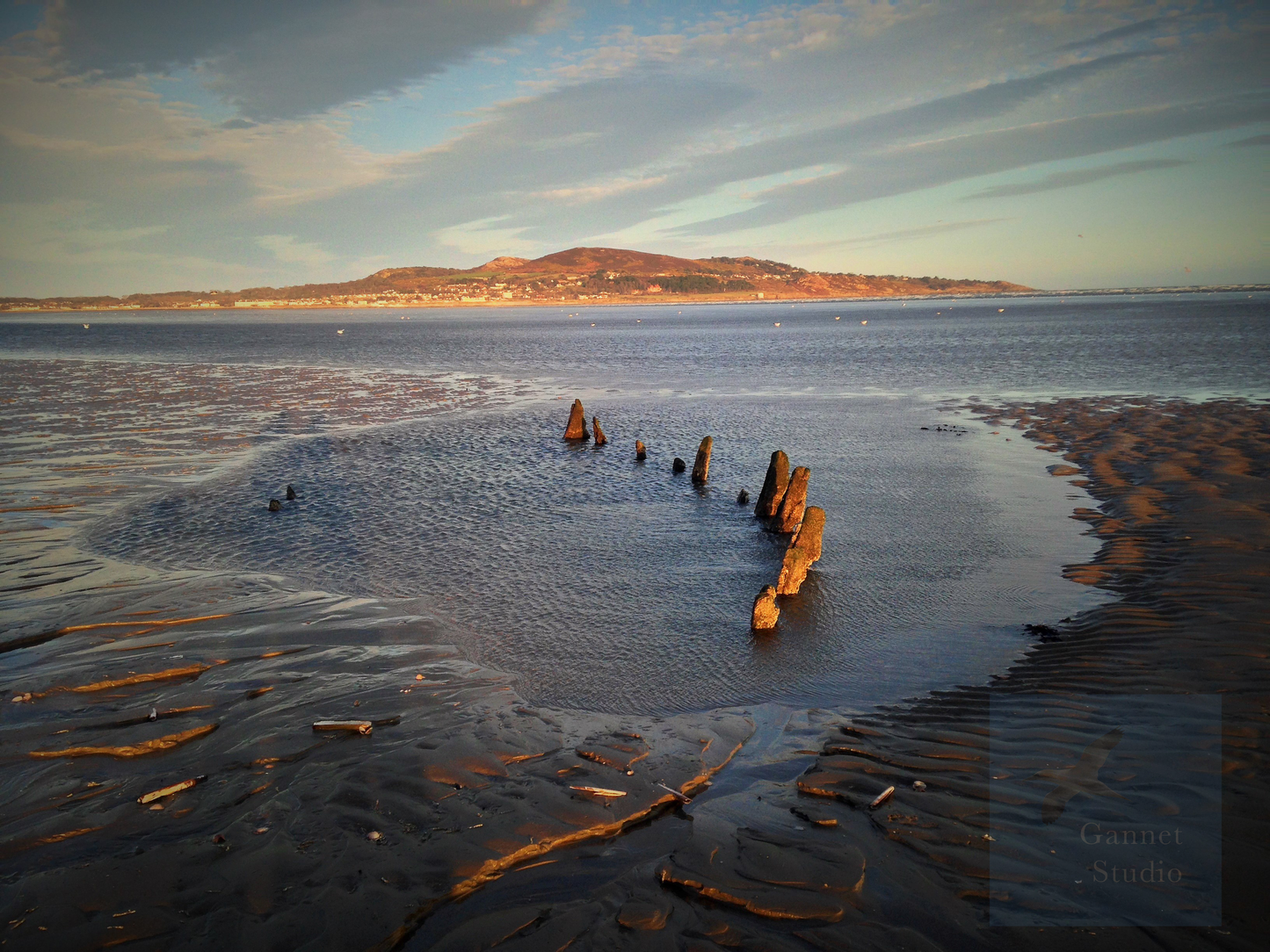 The Wreck, Bull Island